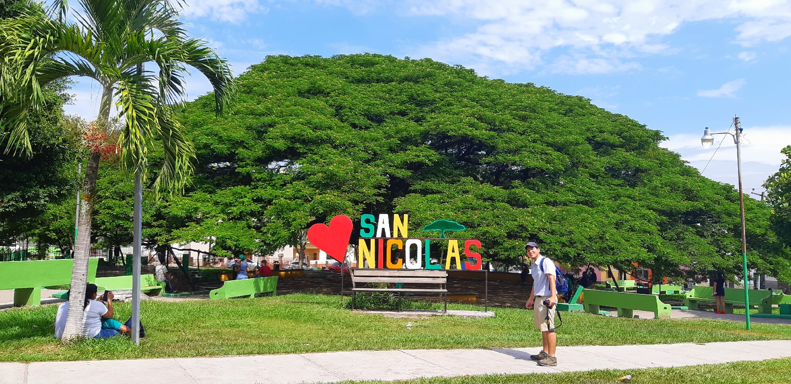 Este árbol es el corazón de San Nicolás