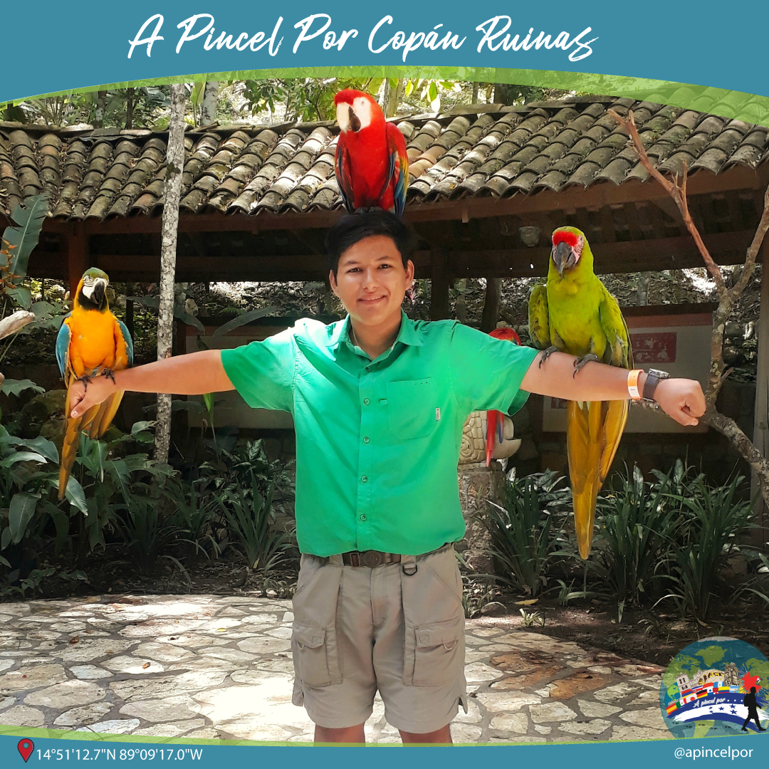 A pincel por Copán Ruians