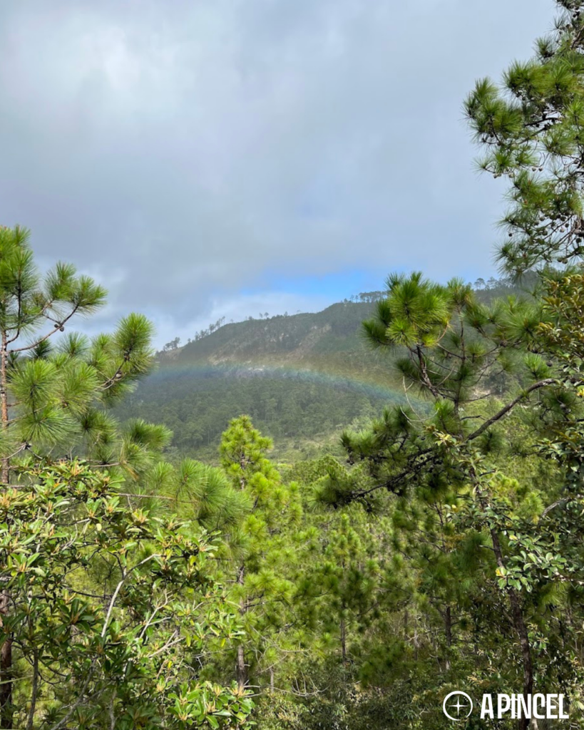 ¿Recuerda las cabañuelas?